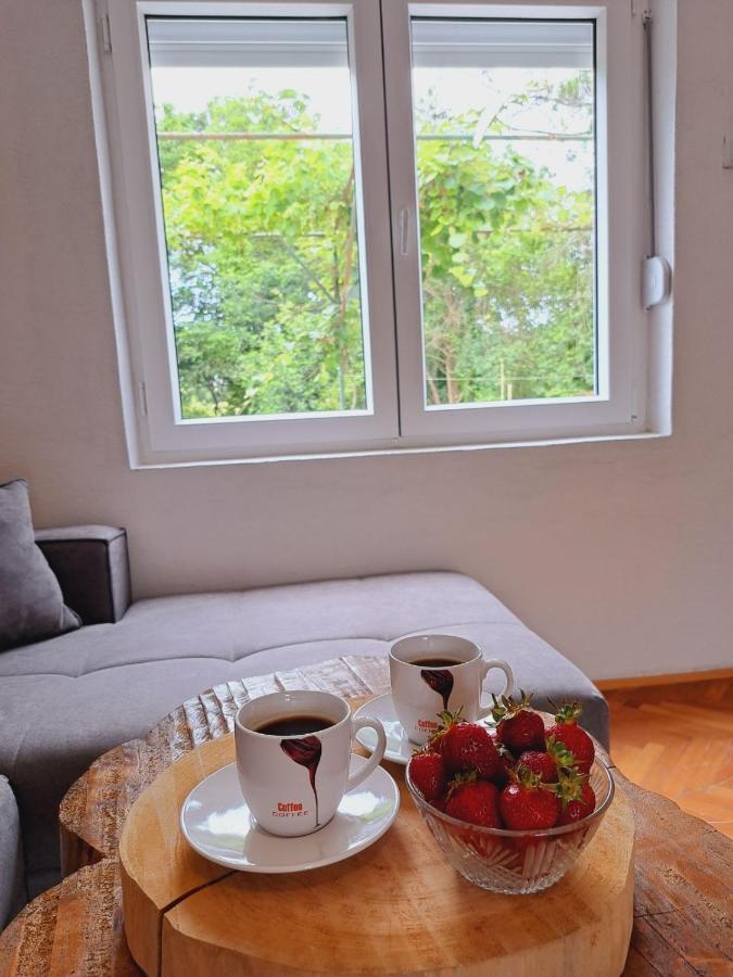 Guest House Green River Ljubuški Eksteriør billede